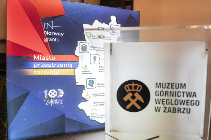 Fundusze Norweskie - grafika